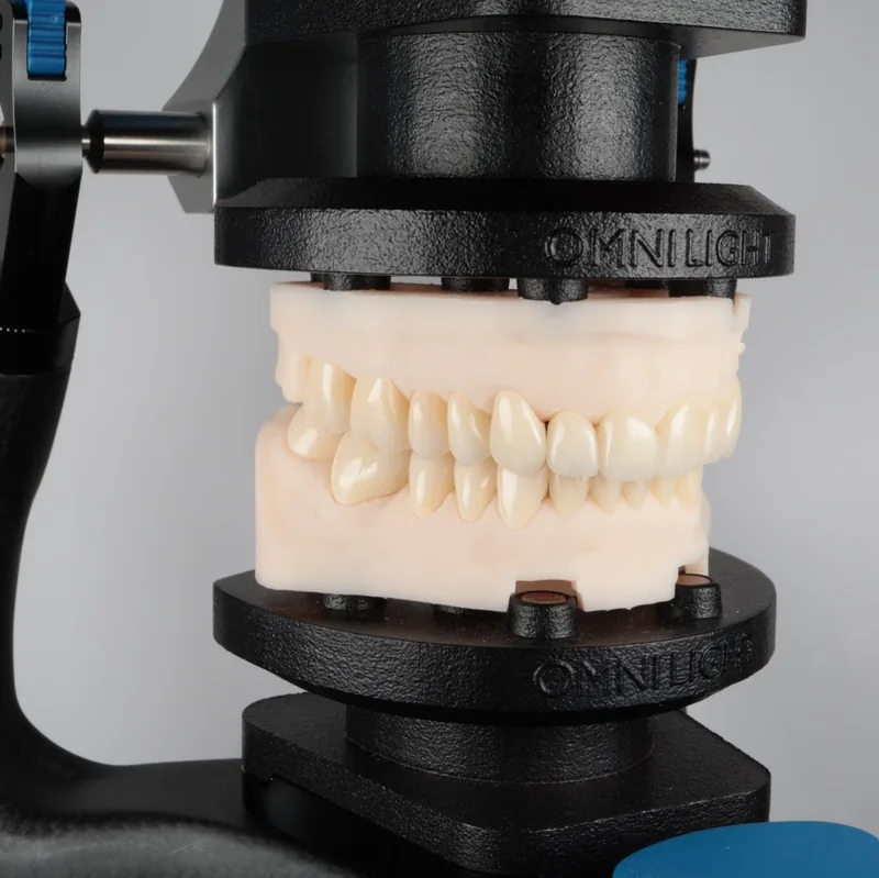 Printed models mounted on DACOS Omni Light, side view